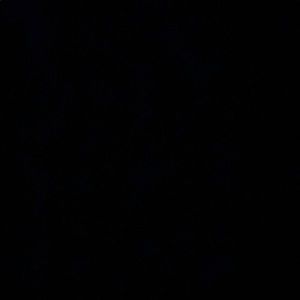 Meet your Posher, Connor